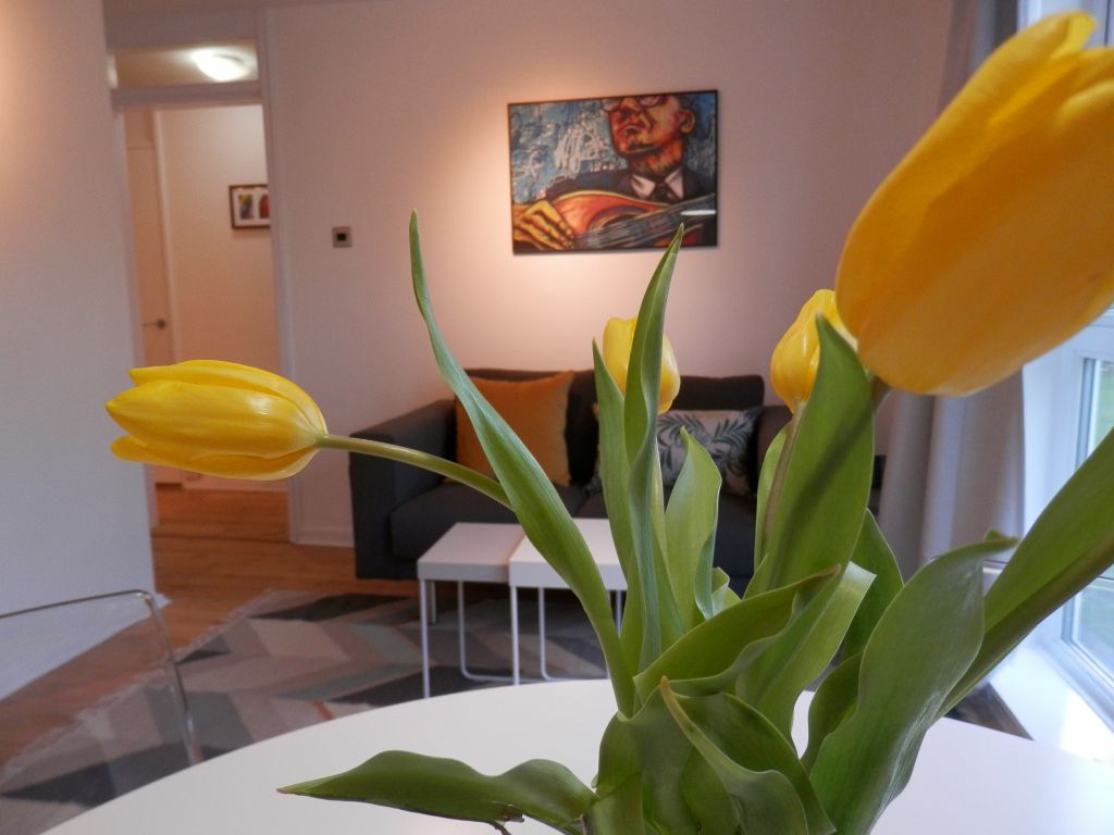 Quantum Whalley Range furnished apartment Living area from behind tulips